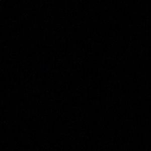 Meet your Posher, Riley